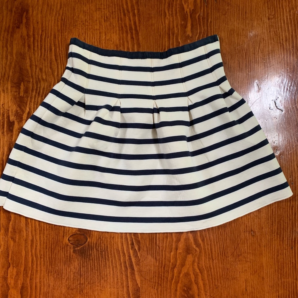 Navy and white striped skirt
